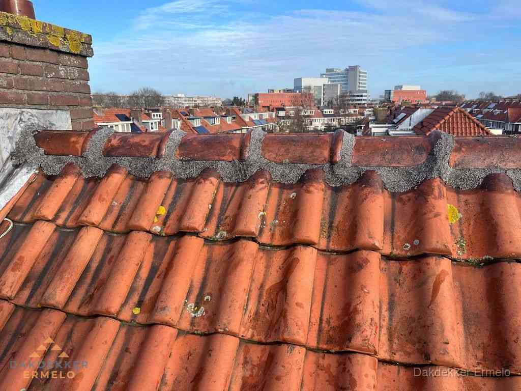 Nieuw bitumen plat dak met uitzicht over woonwijk in Ermelo Nieuw bitumen plat dak met uitzicht over woonwijk in Ermelo