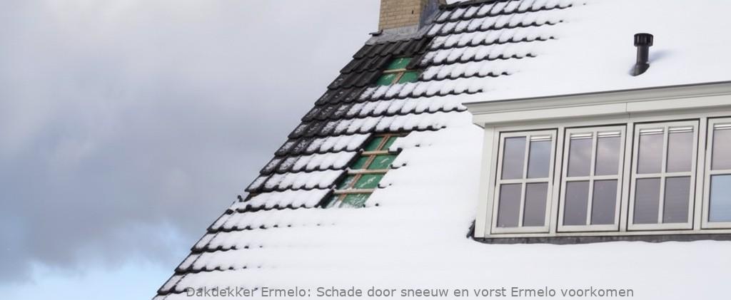 Schade Door Sneeuw En Vorst Ermelo